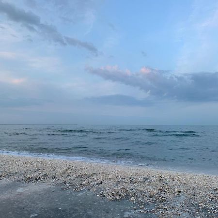 Sunrise Holiday Apartment - Mamaia Nord Năvodari Eksteriør billede